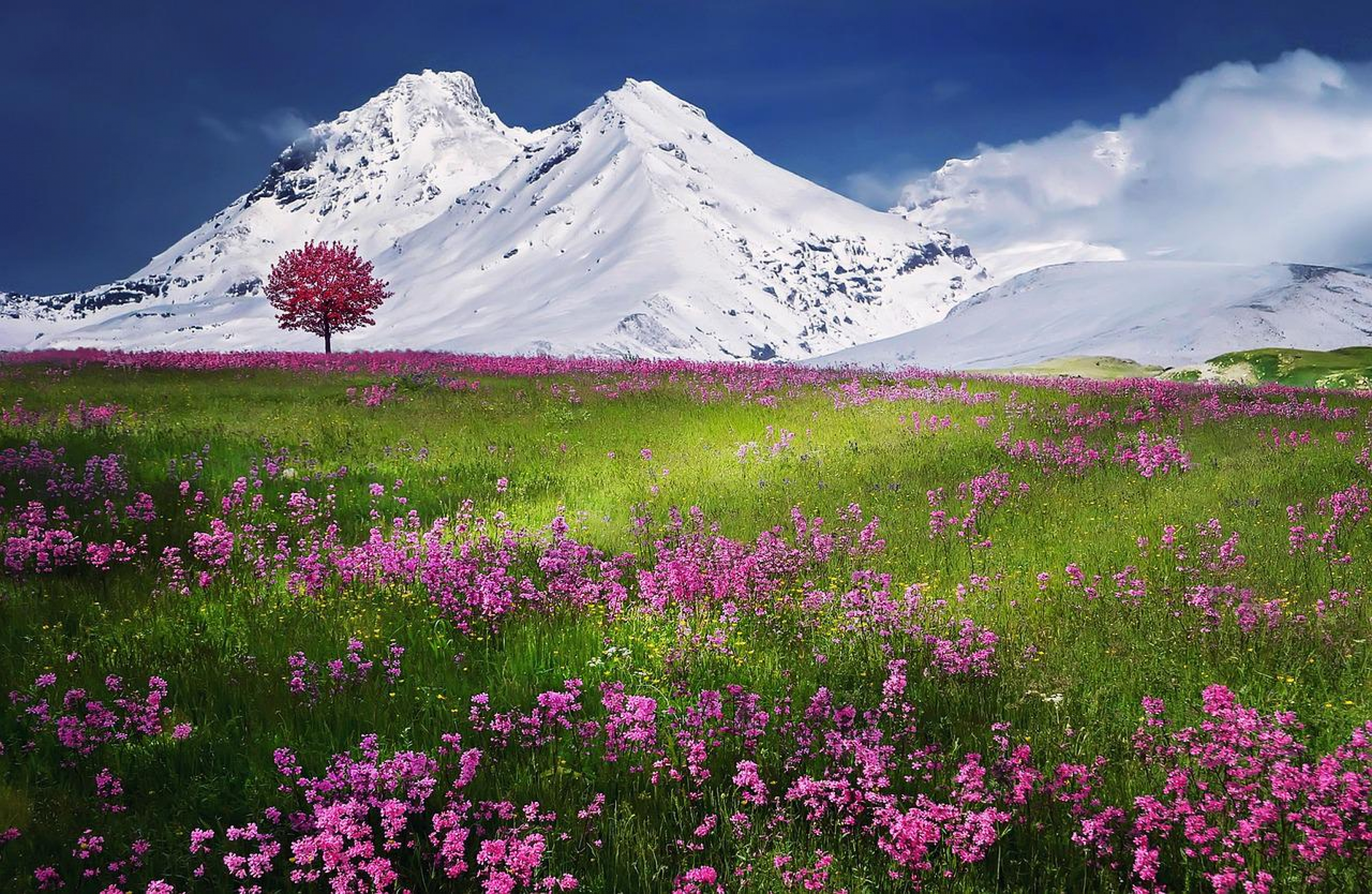 Mountains 736886 1280.jpg